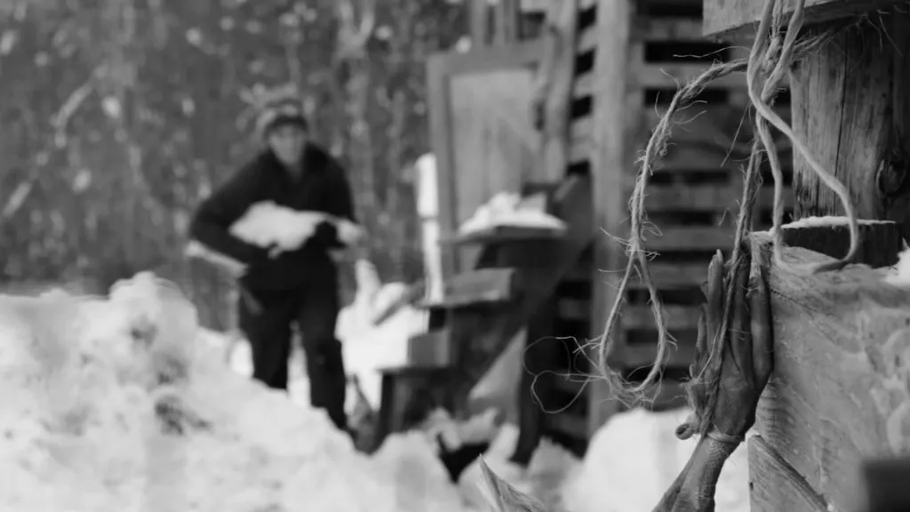 screenshot 2023 07 15 at 8.37.05 am 1024x576